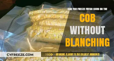 Skip the Blanching: How to Freeze Fresh Corn on the Cob Directly