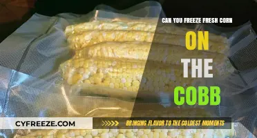 Preserving Summer's Bounty: How to Freeze Fresh Corn on the Cob