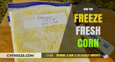 Preserving Summer's Bounty: A Guide to Freezing Fresh Corn
