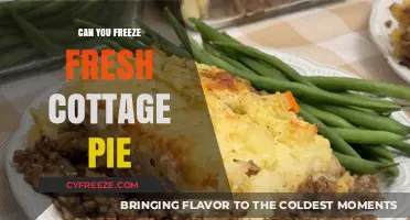 From Oven to Freezer: The Ultimate Guide to Freezing Fresh Cottage Pie
