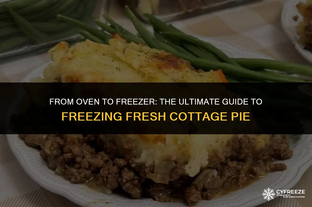 can you freeze fresh cottage pie