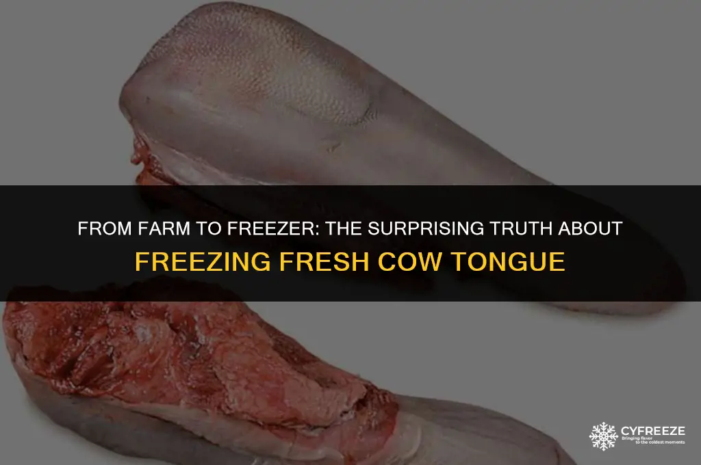 can you freeze fresh cow tongue