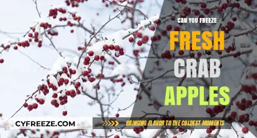 Preserving Nature's Bounty: The Art of Freezing Fresh Crab Apples