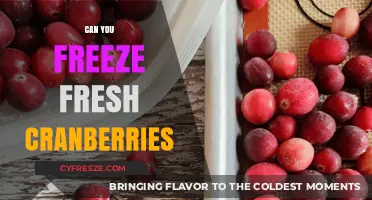 Cranberry Preservation: The Ultimate Guide to Freezing Fresh Cranberries