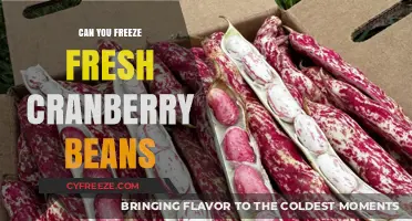 Preserving Freshness: The Ultimate Guide to Freezing Cranberry Beans