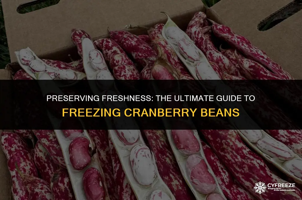 can you freeze fresh cranberry beans