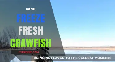 Savor the Flavor: Freezing Fresh Crawfish for Future Feasts