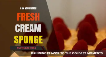 From Fresh to Frozen: The Ultimate Guide to Freezing Cream Sponge