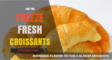 From Oven to Freezer: The Ultimate Guide to Freezing Fresh Croissants