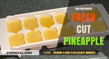 Sweet and Savvy: The Ultimate Guide to Freezing Fresh Pineapple