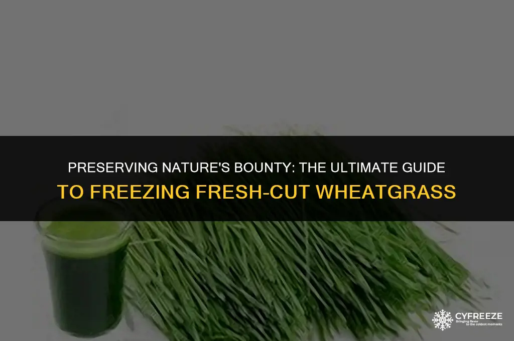 can you freeze fresh cut wheatgrass