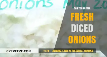 Preserve the Flavor: A Guide to Freezing Fresh Diced Onions
