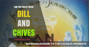 Preserve Freshness: Freezing Dill and Chives Made Easy
