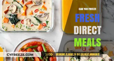 Fresh to Frozen: The Ultimate Guide to Freezing Direct Meals
