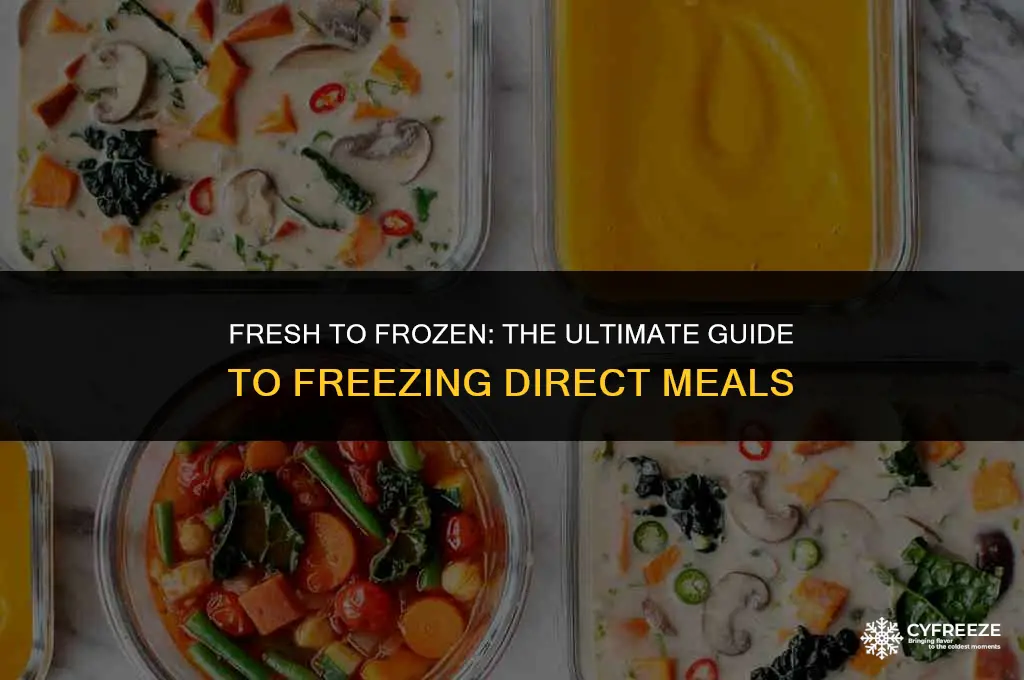 can you freeze fresh direct meals