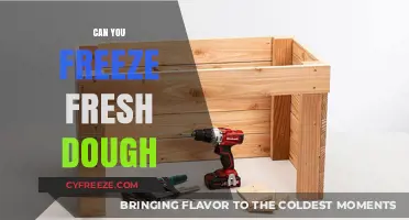 From Fresh to Frozen: A Guide to Freezing Dough