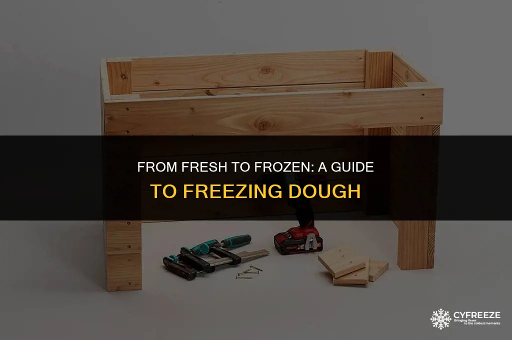 can you freeze fresh dough
