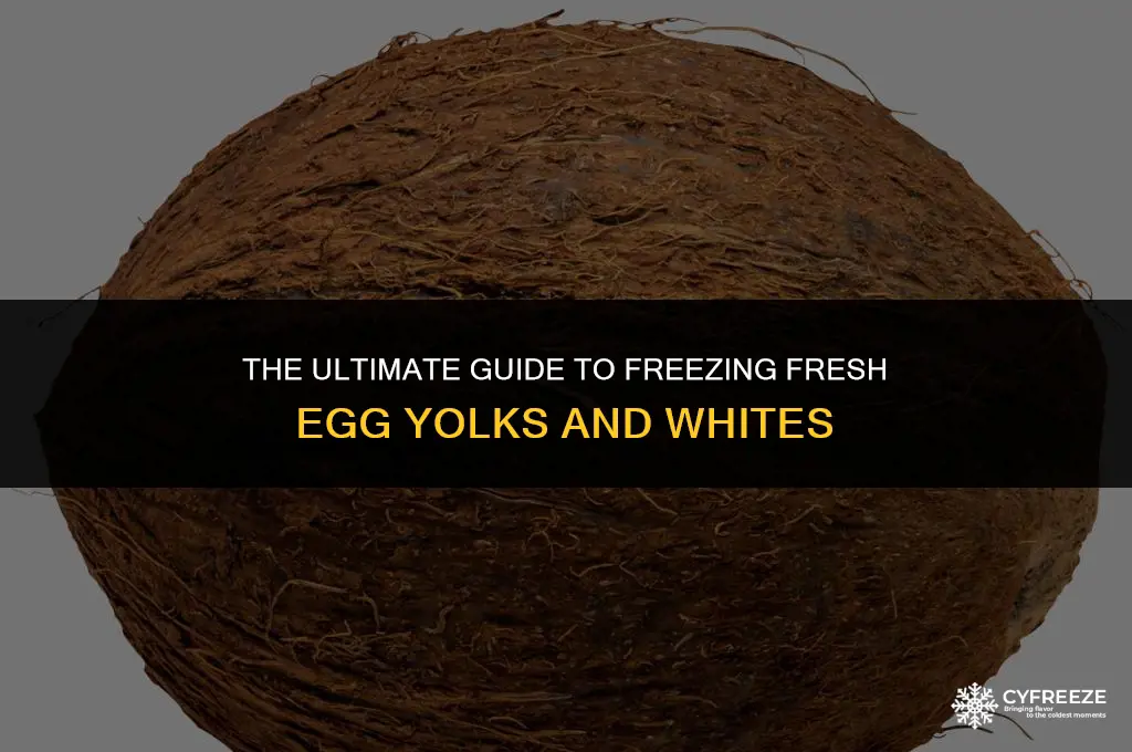 can you freeze fresh egg yolk and whites