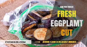 Fresh Eggplant Freezing Tips: A Complete Guide