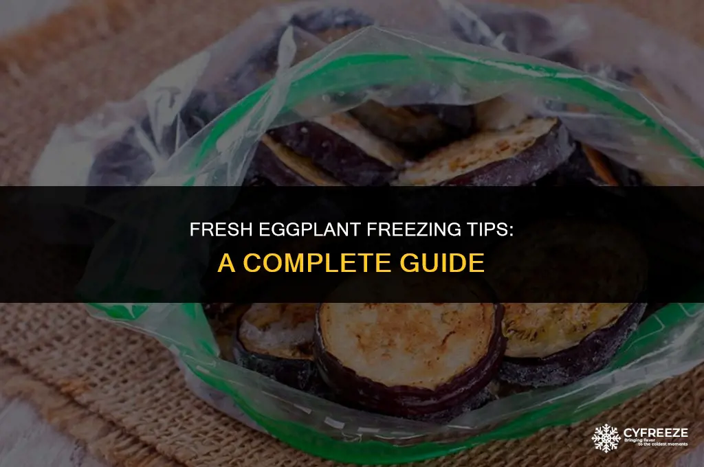 can you freeze fresh eggplamt cut