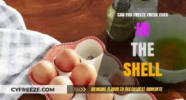 Cracking the Myth: Freezing Fresh Eggs in Their Shells - A Complete Guide