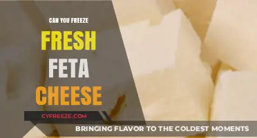 Fresh Feta Freeze: Preserving Flavor and Texture