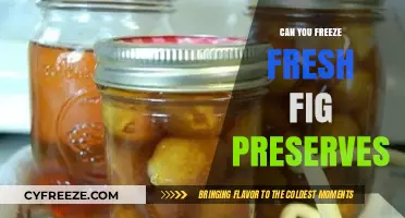 Sweet Serenity: The Art of Freezing Fresh Fig Preserves