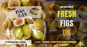 Preserving Summer's Bounty: A Guide to Freezing Fresh Figs in the UK