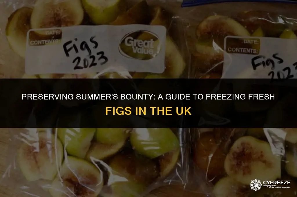 can you freeze fresh figs uk