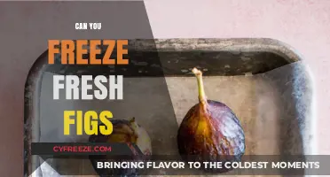 Preserving Nature's Sweetness: A Guide to Freezing Fresh Figs