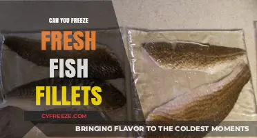 Fresh to Frozen: The Ultimate Guide to Freezing Fish Fillets