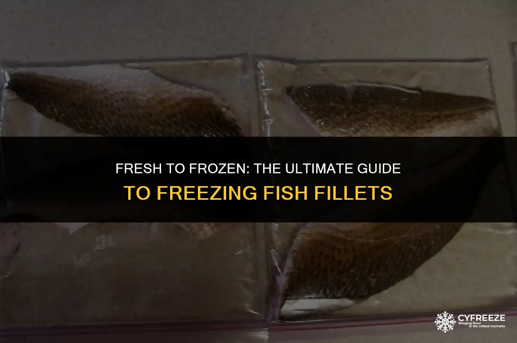 can you freeze fresh fish fillets
