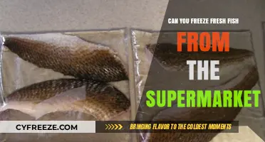 From Supermarket to Freezer: A Guide to Freezing Fresh Fish