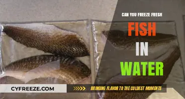 Preserving Freshness: The Ultimate Guide to Freezing Fish in Water