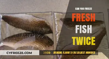 Double Trouble: The Do's and Don'ts of Freezing Fresh Fish Twice