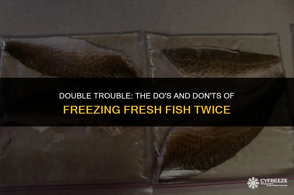 can you freeze fresh fish twice
