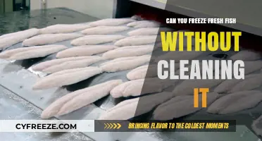 Fresh Catch, Future Feast: Freezing Fish Without Cleaning - Tips and Tricks