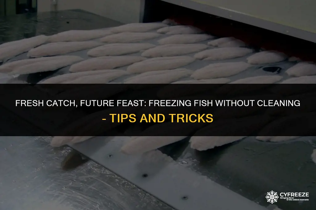can you freeze fresh fish without cleaning it