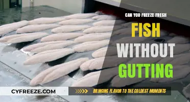 Fresh Catch, Future Feast: Freezing Fish Without Gutting - A Guide