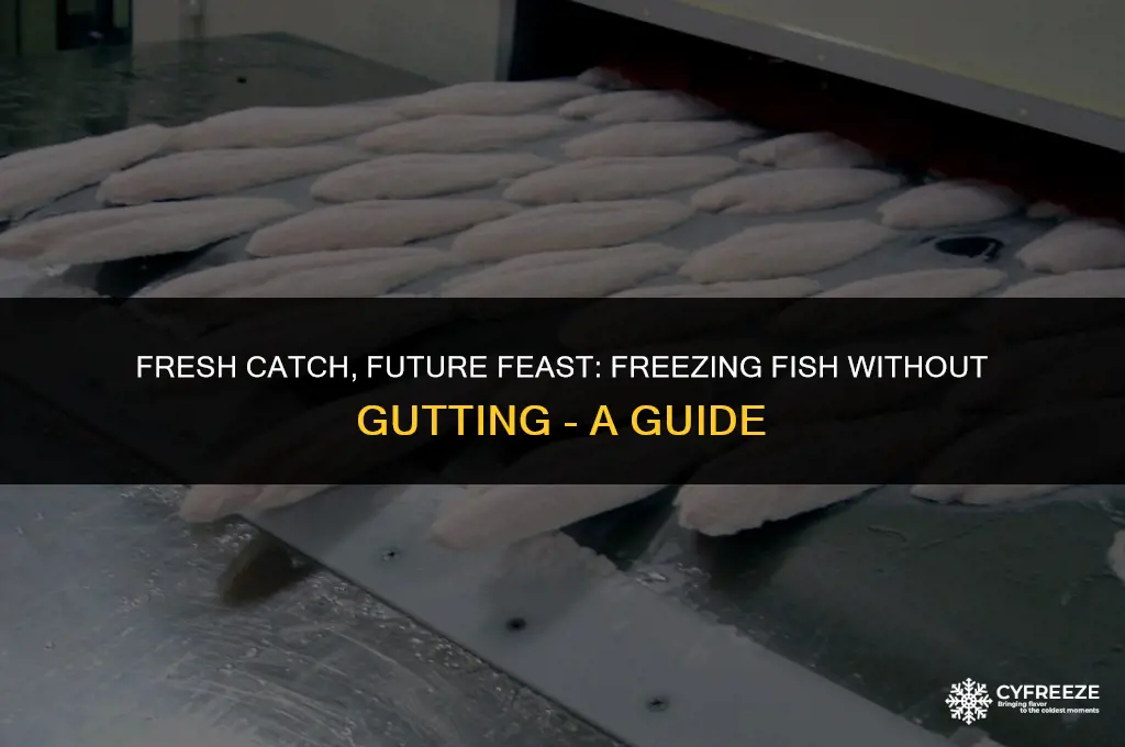 can you freeze fresh fish without gutting