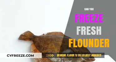 Fresh Flounder Freezing Guide: Preserve Your Catch for Future Meals