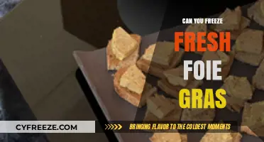 Foie Gras Freezing Guide: Preserve Freshness with Ease