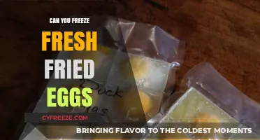 Egg-cellent Preservation: The Do's and Don'ts of Freezing Fresh Fried Eggs