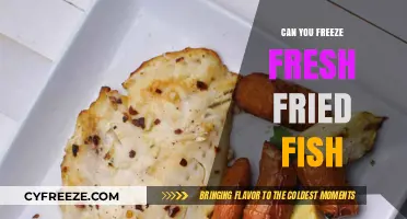 From Fryer to Freezer: The Ultimate Guide to Freezing Fresh Fried Fish