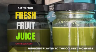 Preserve the Freshness: A Guide to Freezing Fresh Fruit Juice