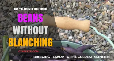 Skip the Blanching: How to Freeze Fresh Green Beans Directly
