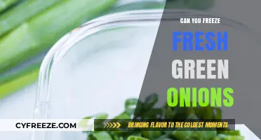 Preserve the Flavor: Freezing Fresh Green Onions Made Easy