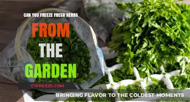 Preserve Your Garden's Bounty: Freezing Fresh Herbs Made Easy