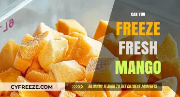 From Fresh to Frozen: The Ultimate Guide to Mango Preservation