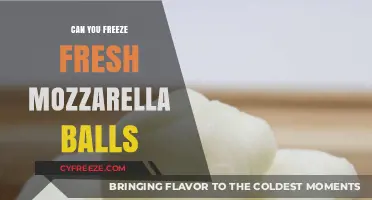 From Fresh to Frozen: The Ultimate Guide to Freezing Mozzarella Balls